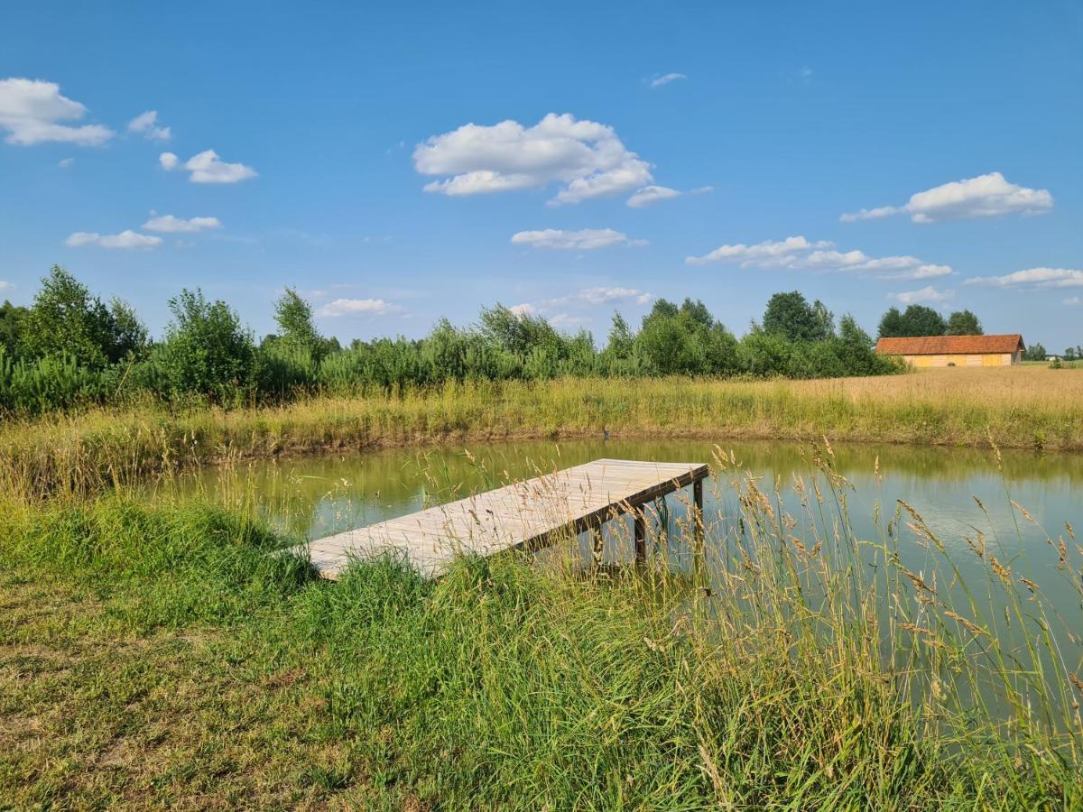 Dworek Ogrodniki, Caloroczny Dom Na Wylacznosc, Basen, Sauna, Las, Staw Rybny, Altana Grillowa, Ognisko, Pianino, Kominek, Piec Chlebowy, Duza Ogrodzona Posesja Tuczna Экстерьер фото