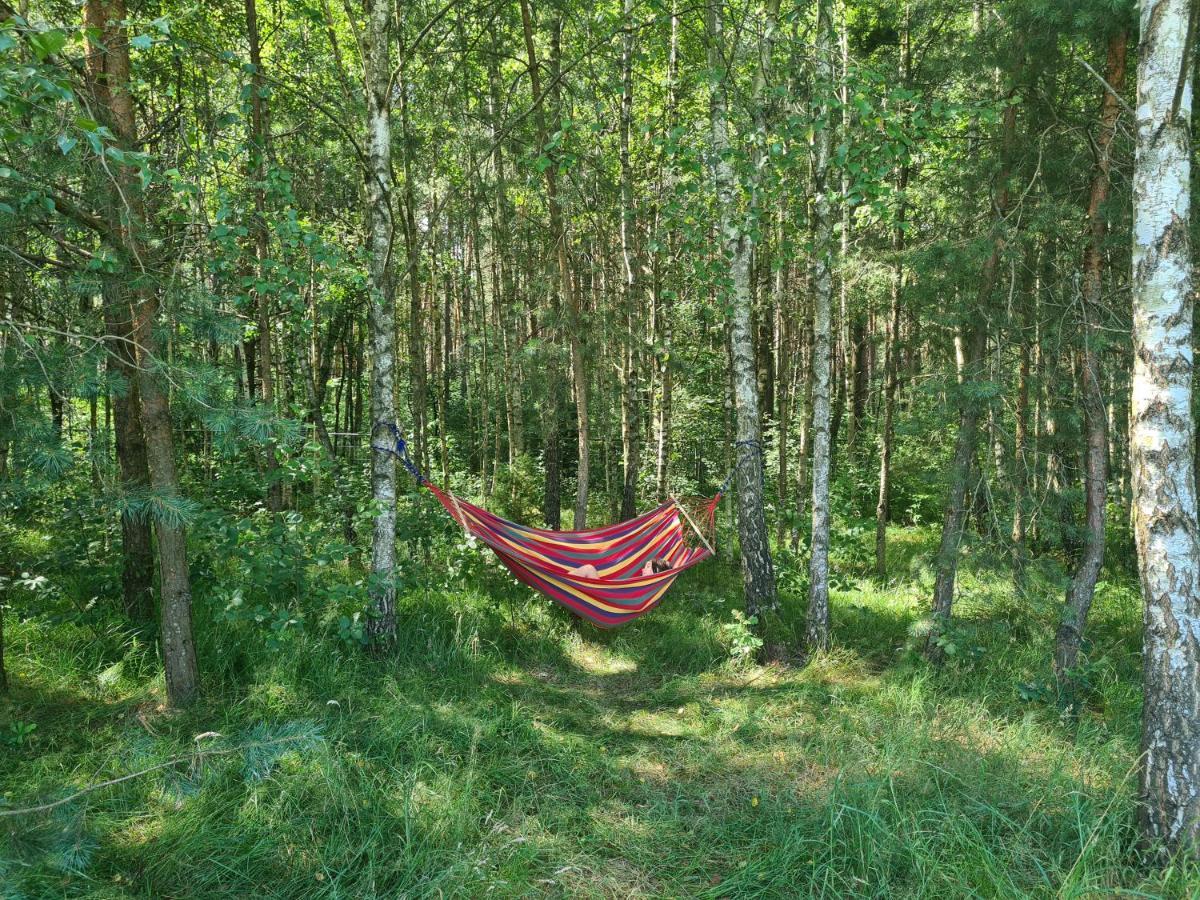 Dworek Ogrodniki, Caloroczny Dom Na Wylacznosc, Basen, Sauna, Las, Staw Rybny, Altana Grillowa, Ognisko, Pianino, Kominek, Piec Chlebowy, Duza Ogrodzona Posesja Tuczna Экстерьер фото